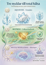 Load image into Gallery viewer, Triad Resonans Therapy Utbildning